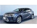 2023 Lexus Other