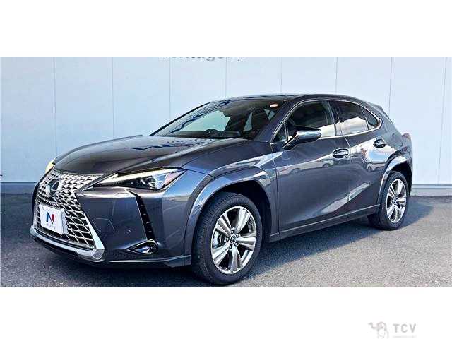 2023 Lexus Other
