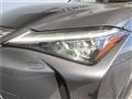 2023 Lexus Other