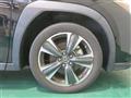 2023 Lexus Other