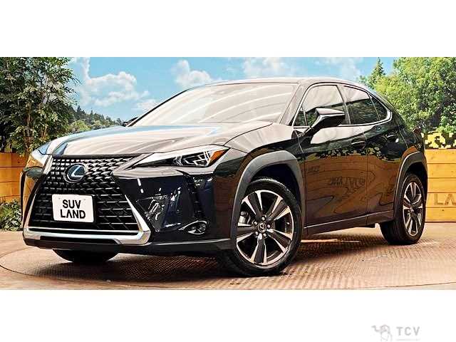 2023 Lexus Other