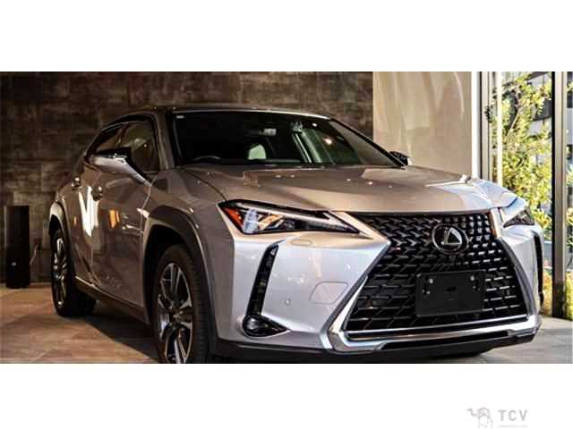 2023 Lexus Other