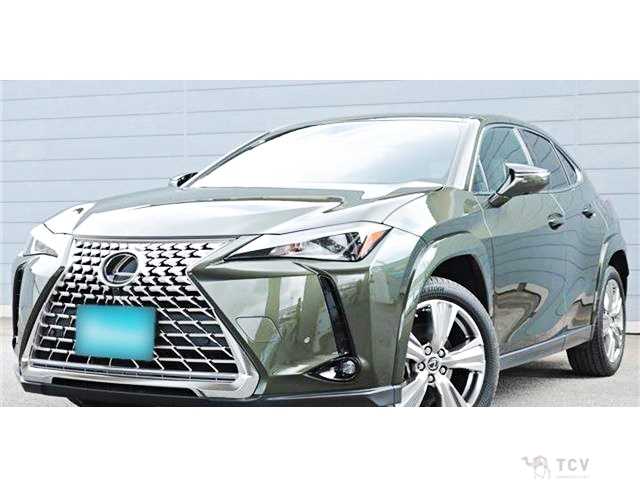 2023 Lexus Other