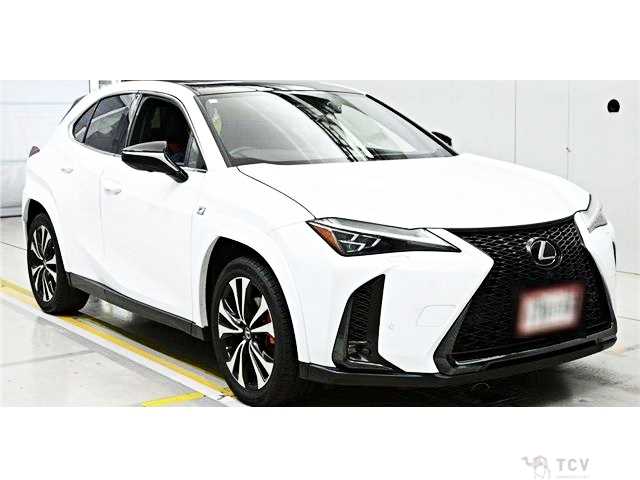 2023 Lexus Other