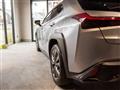 2023 Lexus Other