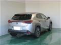 2023 Lexus Other