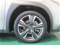 2023 Lexus Other