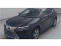 2023 Lexus Other