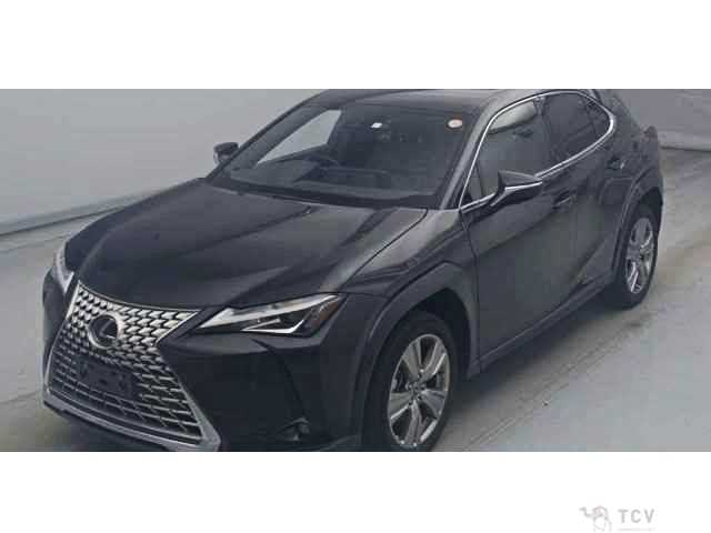 2023 Lexus Other