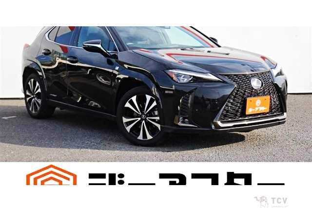 2023 Lexus Other