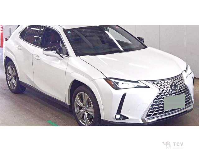 2023 Lexus Other