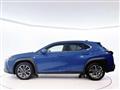 2023 Lexus Other