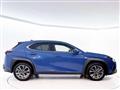 2023 Lexus Other