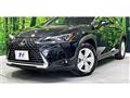 2023 Lexus Other