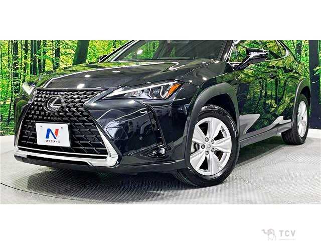2023 Lexus Other