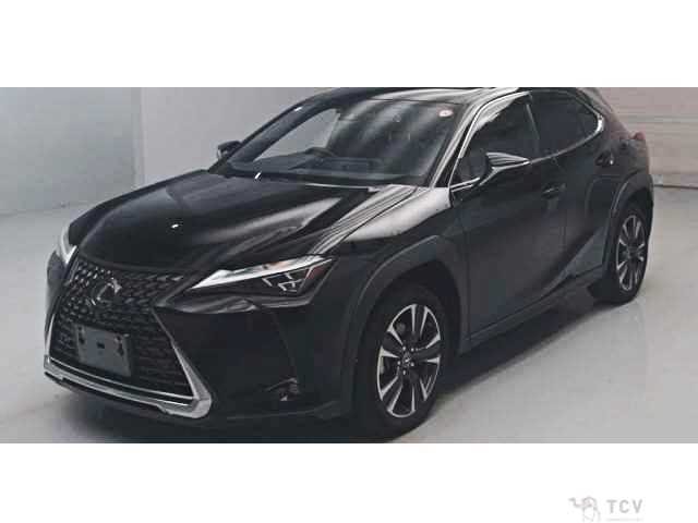 2023 Lexus Other