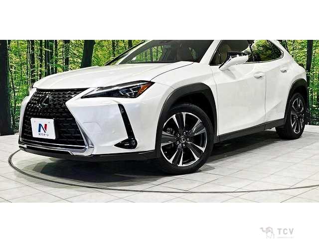 2023 Lexus Other