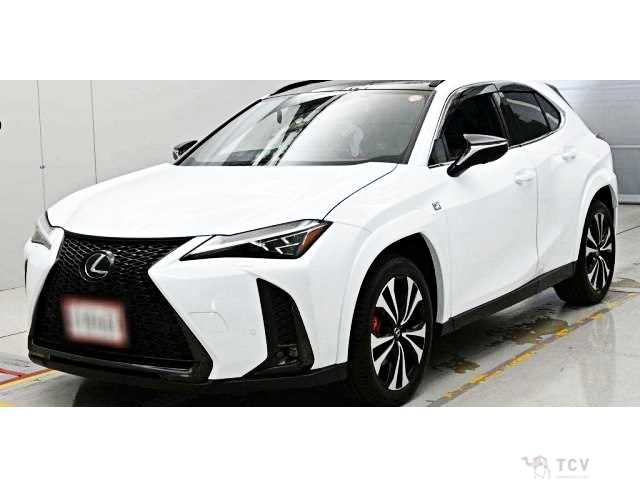 2023 Lexus Other