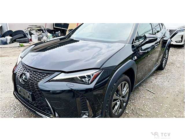 2023 Lexus Other
