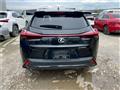 2023 Lexus Other