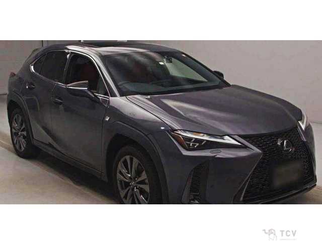 2023 Lexus Other