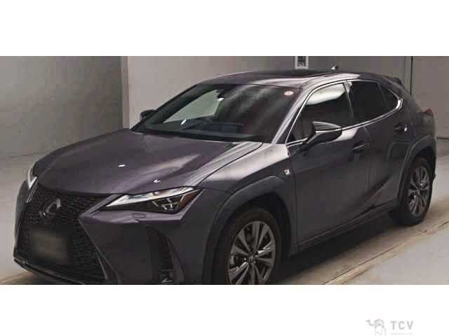 2023 Lexus Other