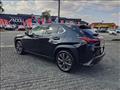 2023 Lexus Other