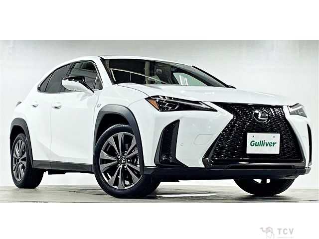 2023 Lexus Other