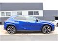 2023 Lexus Other