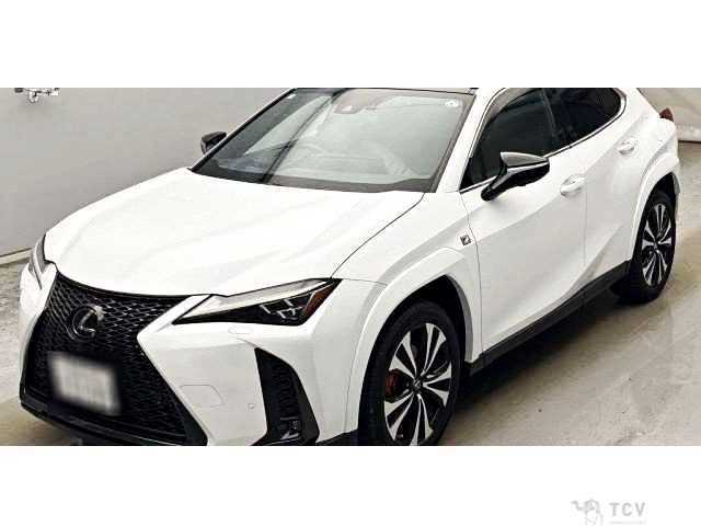 2023 Lexus Other