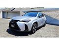 2023 Lexus Other