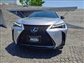 2023 Lexus Other