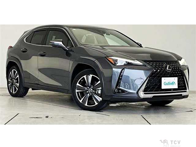 2023 Lexus Other