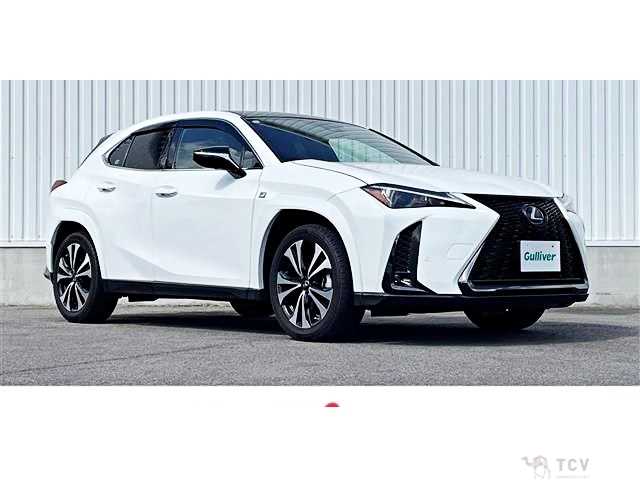 2023 Lexus Other