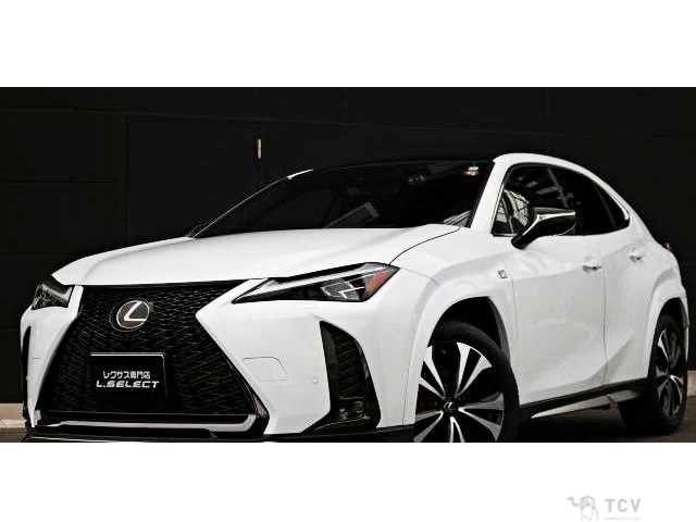 2023 Lexus Other