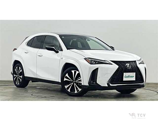 2023 Lexus Other
