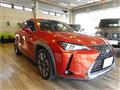 2022 Lexus Other