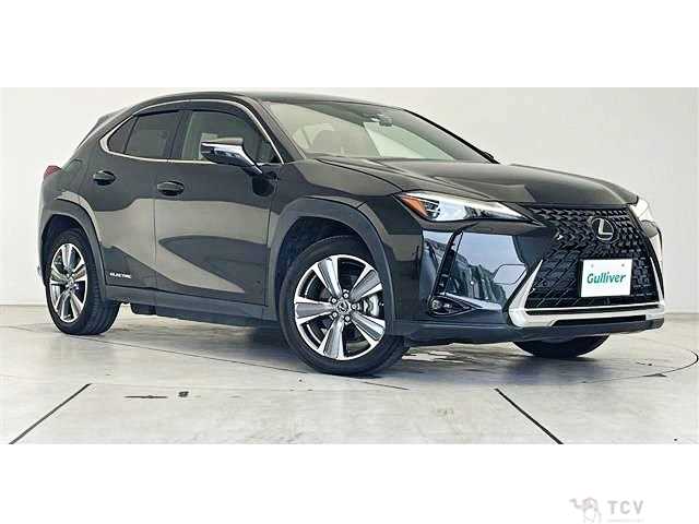 2022 Lexus Other