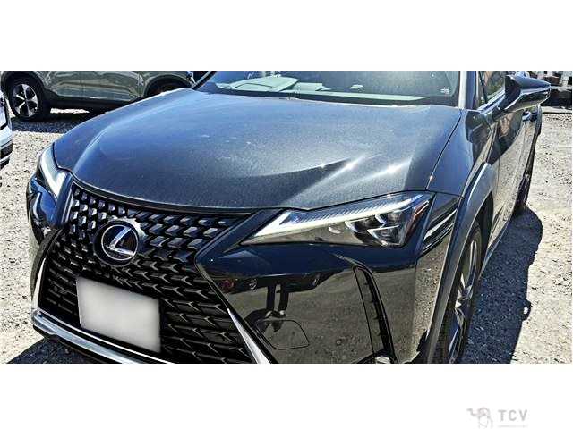 2022 Lexus Other