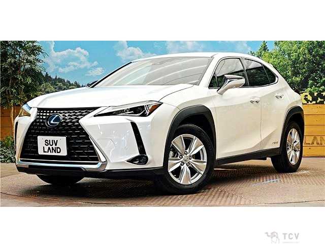2022 Lexus Other
