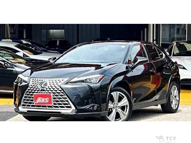 2022 Lexus Other