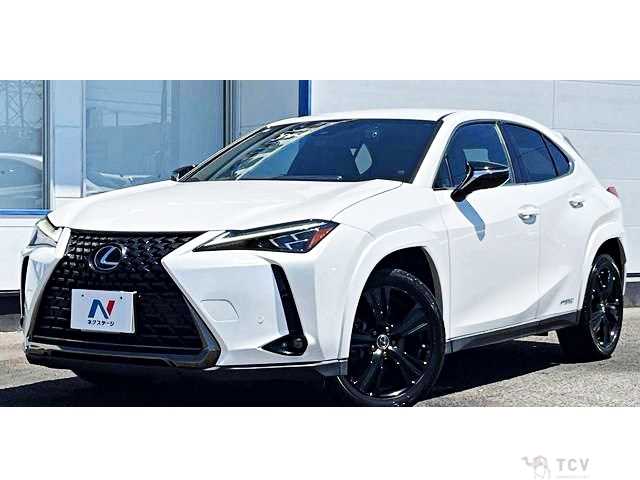2022 Lexus Other