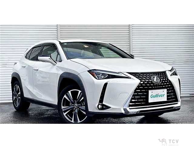 2022 Lexus Other