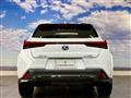 2022 Lexus Other