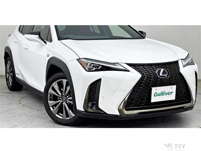 2022 Lexus Other