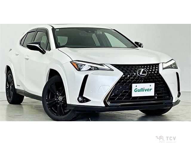 2022 Lexus Other