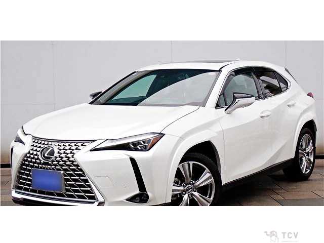 2022 Lexus Other