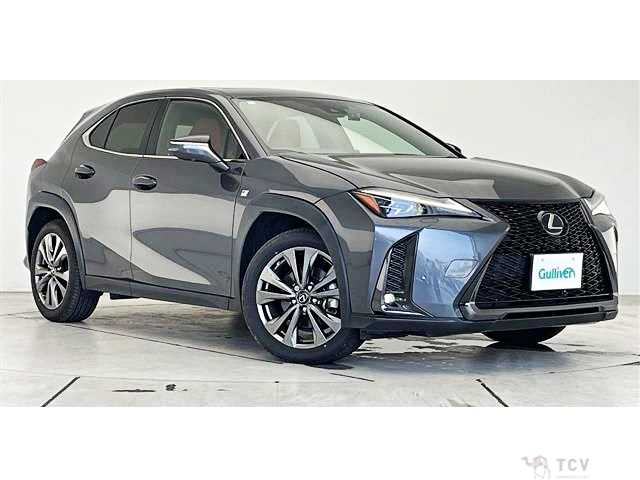 2022 Lexus Other