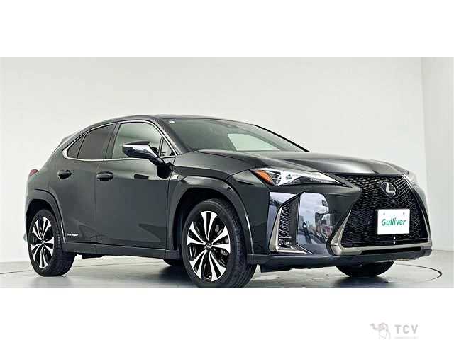 2022 Lexus Other