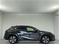 2022 Lexus Other